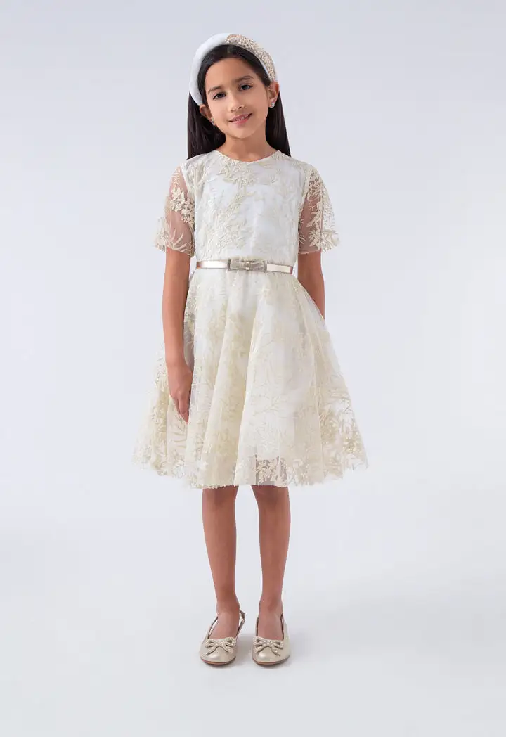 Embroidered Tulle Belted Dress