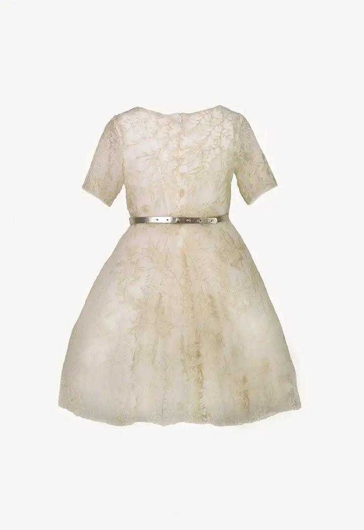 Embroidered Tulle Belted Dress