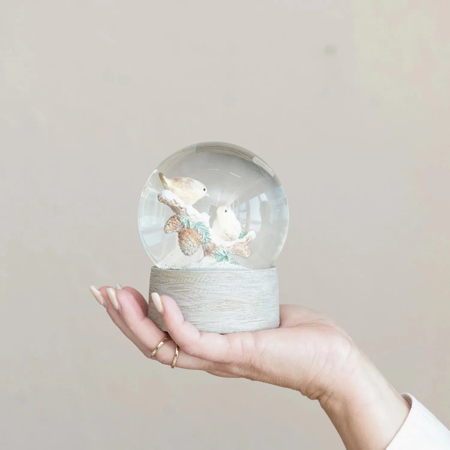 Snow Globe with Birds